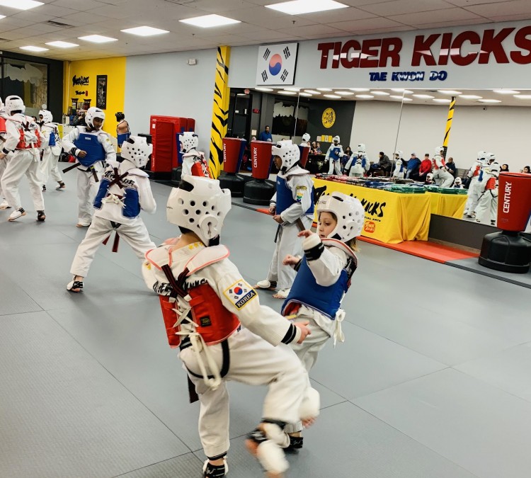 Tiger Kicks Martial Arts Taekwondo (Exton,&nbspPA)